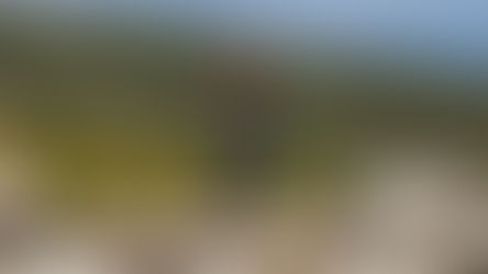 Cantine di Verona: assegnato il “Premio Brolo dei Giusti” a Mateo Seré e Carla Ronza