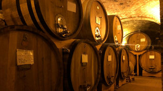 Enrico Serafino: artigiano del vino