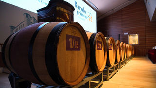 Barolo en primeur