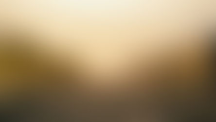 Barolo en primeur: asta benefica