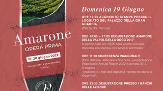 Al via Amarone Opera Prima