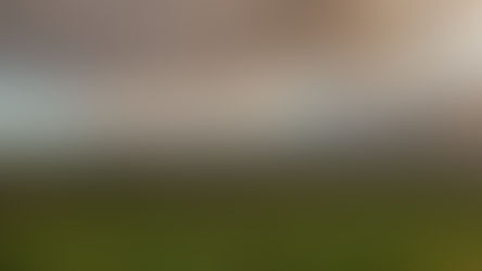 Grifalco: la cantina lucana della famiglia Piccin