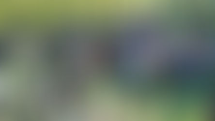 La vendemmia inclusiva di Cecchetto