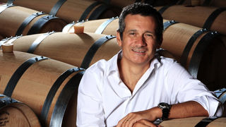 Michele Bernetti è il nuovo presidente dell'Istituto Marchigiano Tutela Vini