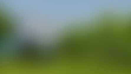 Chi è il turista del vino? Ecco i dati Divinea