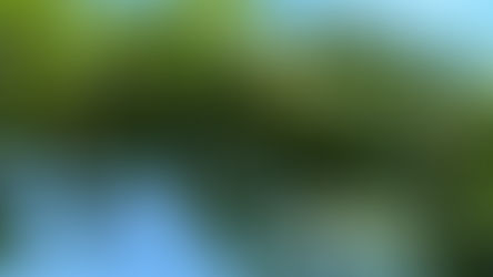 L'irrigazione diventerà necessaria in viticoltura?