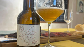 Birra Orfanica