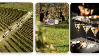 Festival Franciacorta in Cantina