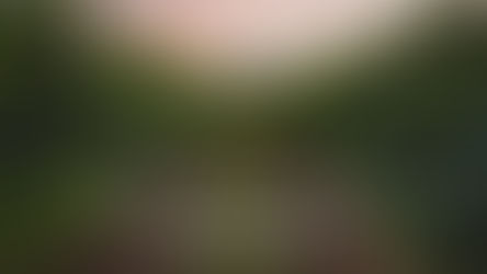 Franciacorta: un libro e un nuovo sito