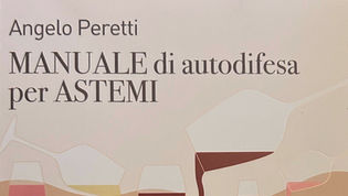 Manuale di Autodifesa per Astemi