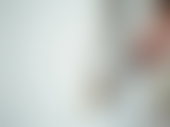 Why choose Professional Painters in Sydney