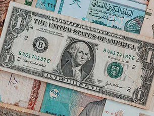 ProfitZine is back with the money content!