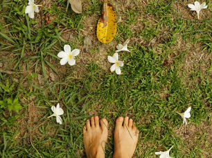 Morning Routines of the Most Successful People (and How to Build Yours)