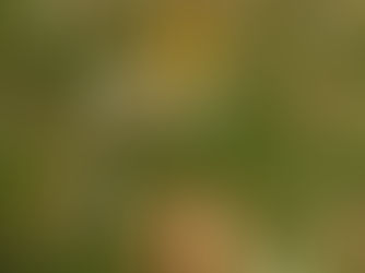 Morning Routines of the Most Successful People (and How to Build Yours)