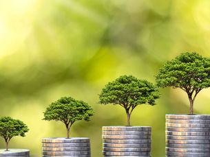 The Big Myth: Success Requires Massive Effort