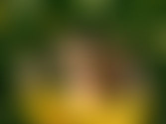 The Cost of Betraying Yourself: A Lesson from Judas