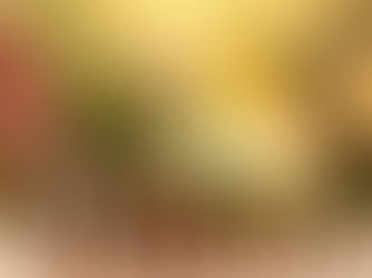 Science of Habit Stacking: How to Make Productivity Effortless