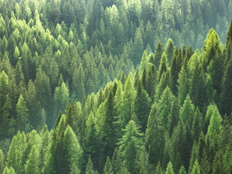 Pursuing ESG: Adding Environmental, Social, and Governance Factors