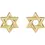 Thumbnail: 14K Yellow Gold Star of David Earrings