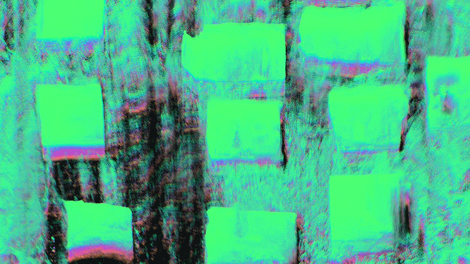 pinara.gif