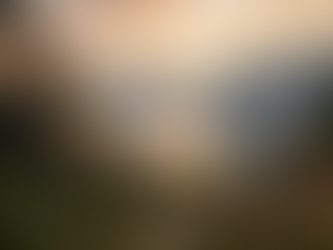 Anthropic - der leise Riese!