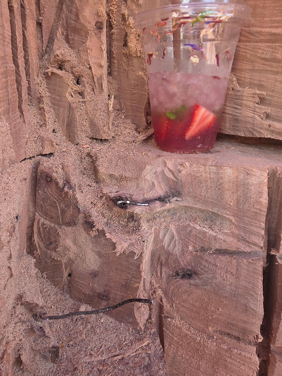 A refreshing strawberry mint lemonade sits snugly in the carved heart of a cedar elm stump, offering solace after the challenging task of wire removal