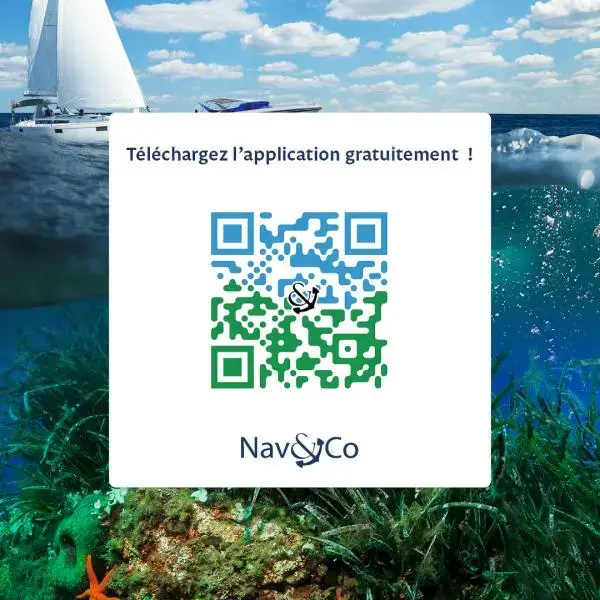 Visuel_Nav_Co_Insta_2024_Med_4_.webp