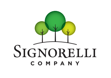 Signorelli