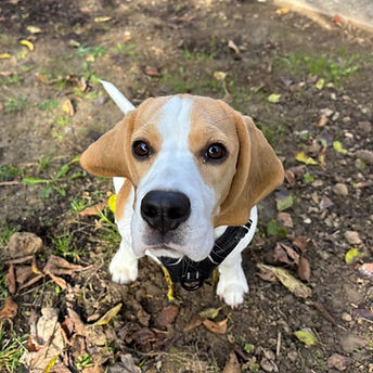 WhatsApp Image 2025-11-13 at 10.30_edite