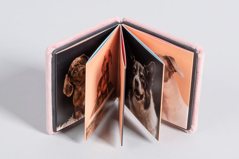 Miniature : Mini livre accordéon