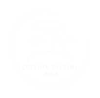 Collina bianco trasp.png