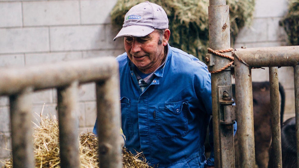 Nieuwsbrief: 5 redenen om juist nu lokaal boodschappen te doen.