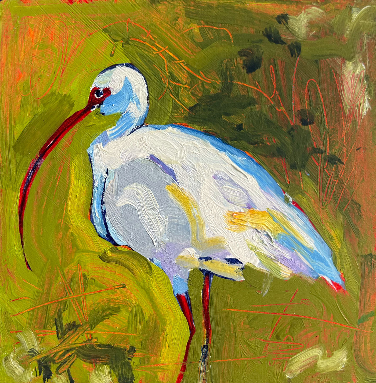 Sam McCoy | Local Bird Studies: White Ibis