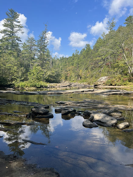 Creek Beauty.jpg