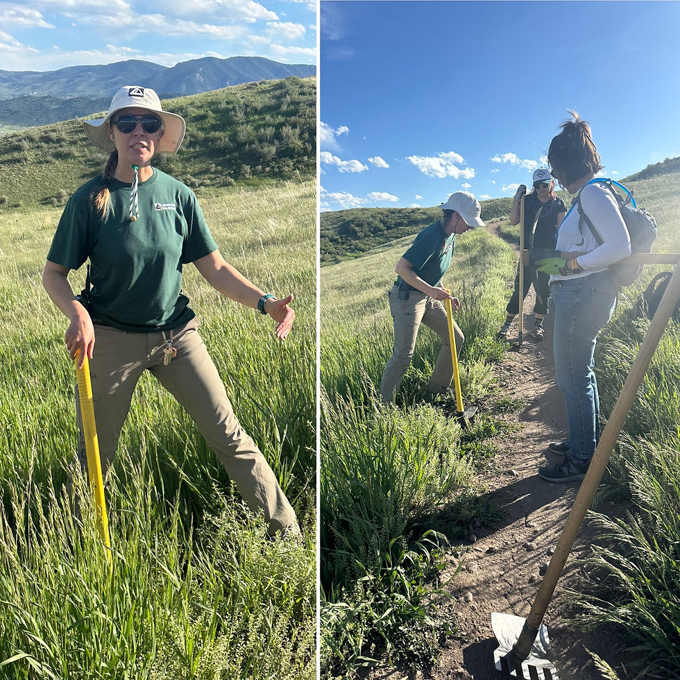 Trail Work at GREEN MOUNTAIN- 9/24