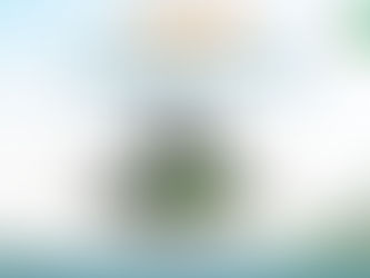 Cơn sốt giá ảo nhà đất tại Đà Lạt cần lưu ý những điều gì