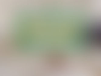 Vật phẩm phong thủy chiêu tài nên có trong phòng khách