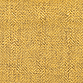 DSC_7049MOSTAZA.png