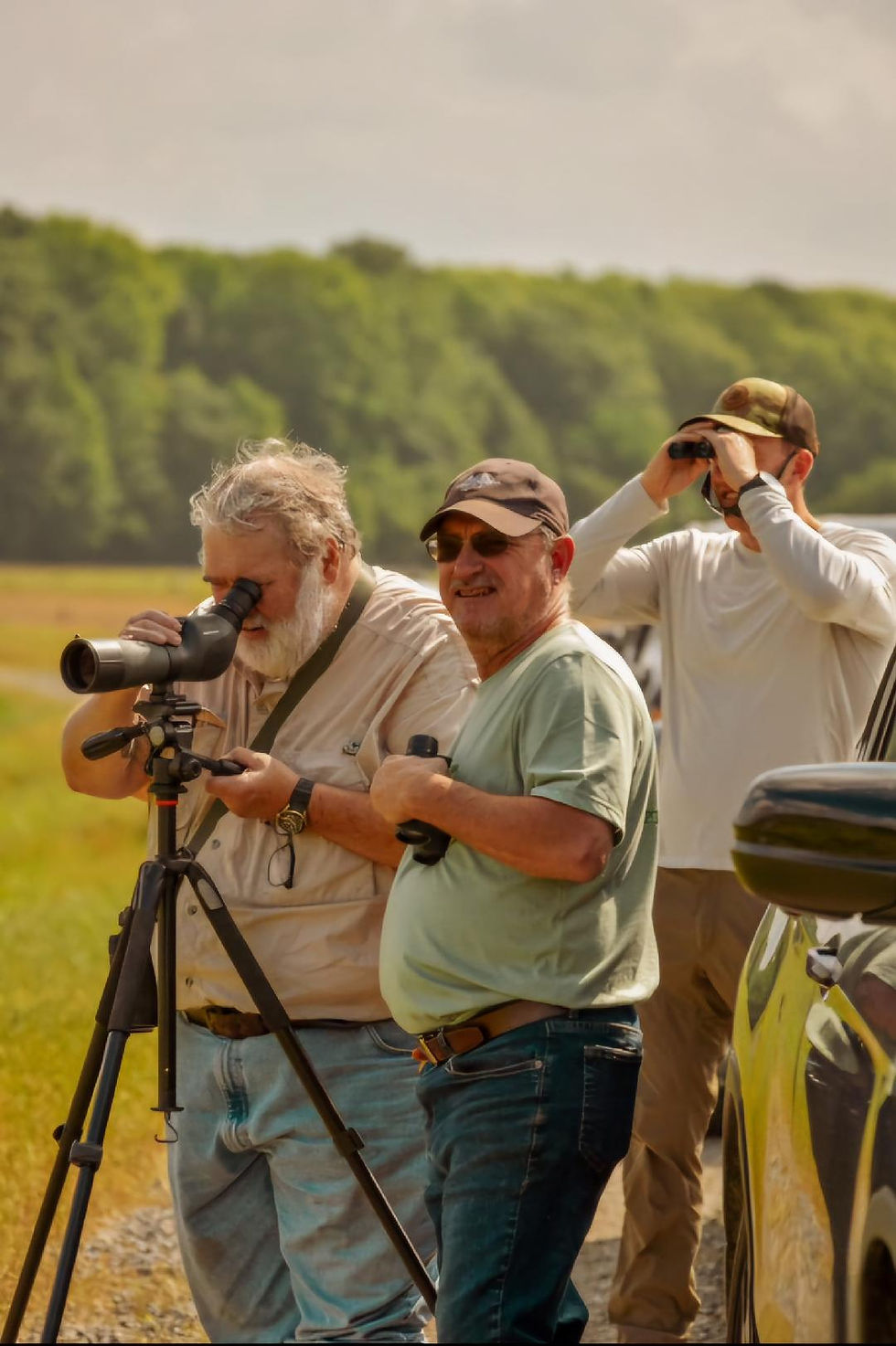 Tipton County Museum Bird Fest