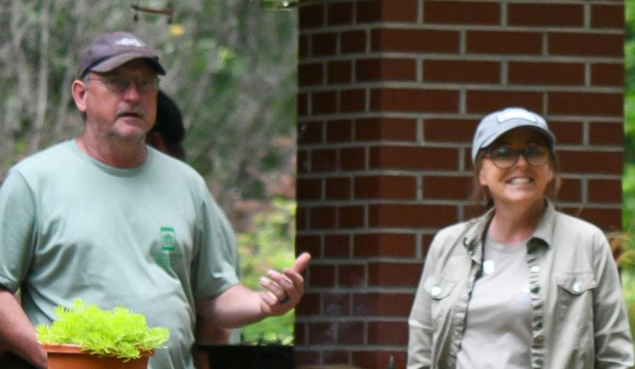 Beginners Bird Walk