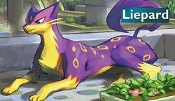 STYLE L - POKEMON 129