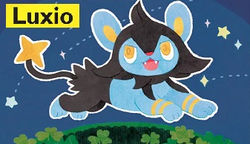 STYLE L - POKEMON 250