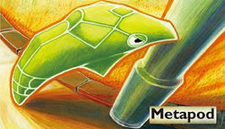 STYLE M - POKEMON 332