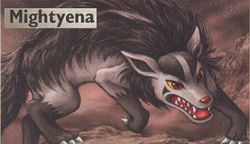 STYLE M - POKEMON 364