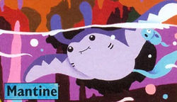 STYLE M - POKEMON 174