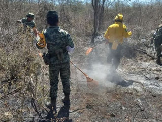 Se suspenden quemas agrícolas en abril