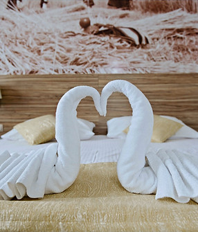 Specijalne usluge u sobi Special room se