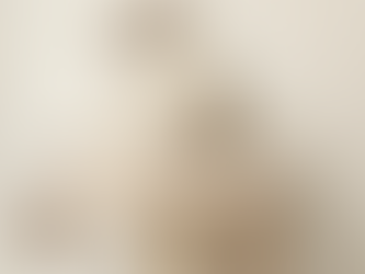 Blue Point Lynx Mitted Ragdoll 