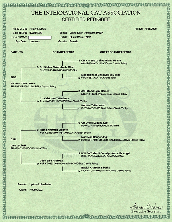 willows pedigree.png