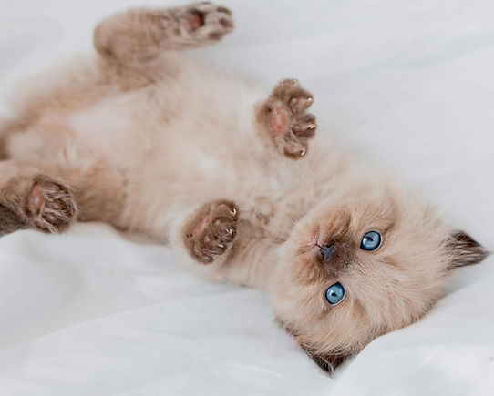 Annie as a baby